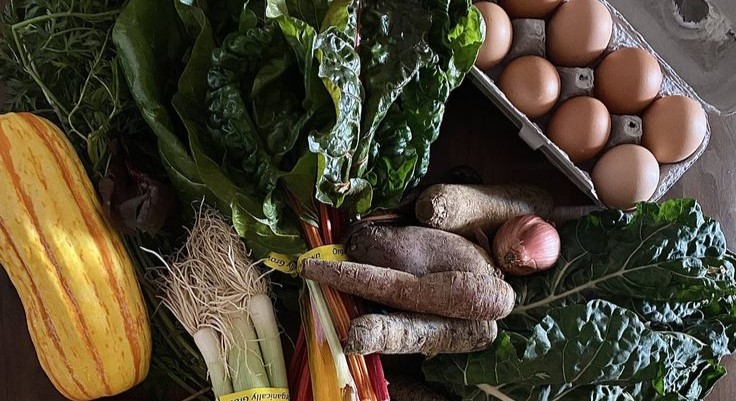 Les petits producteurs derrière vos plats préférés