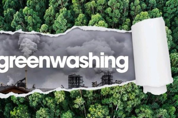 Foret coupé par le greenwashing