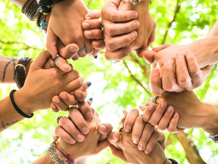 Plusieurs mains qui se tiennent entre elles avec un fond d'arbre entre elles