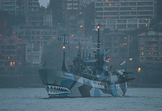 BATEAU DE SEA SHEPHERD