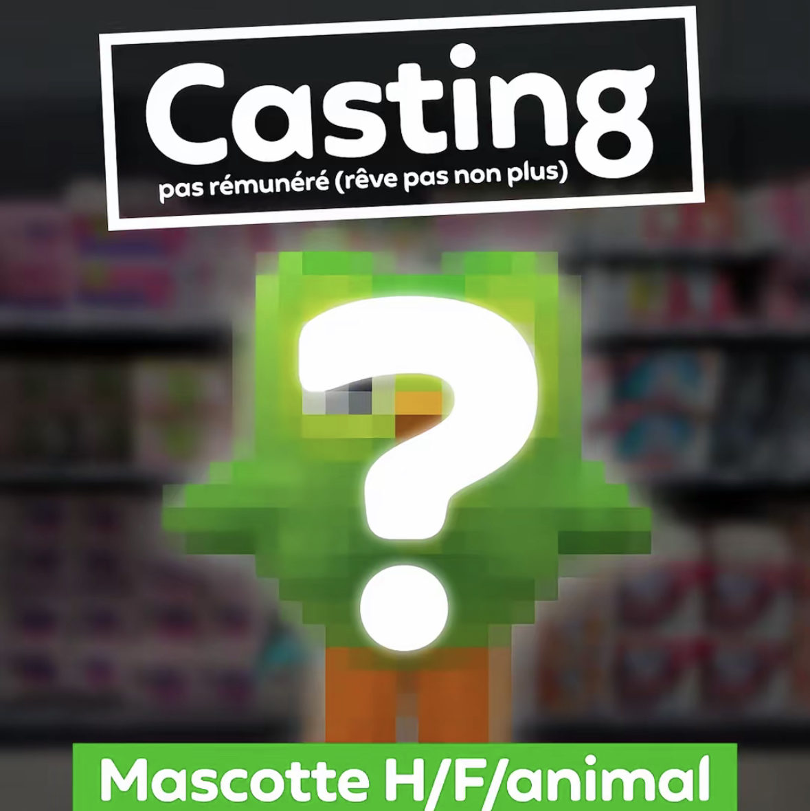 Affiche humoristique d’un faux casting pour remplacer la mascotte Duolingo. Le personnage est flouté avec un point d’interrogation, et le texte indique “Casting pas rémunéré (rêve pas non plus)” avec “Mascotte H/F/animal”.