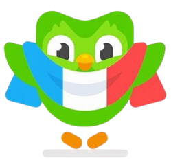 La mascotte de Duolingo, un hibou vert souriant, tient un drapeau tricolore bleu-blanc-rouge représentant le drapeau français. L’image symbolise l’adaptation de Duolingo à la France et à la langue française.