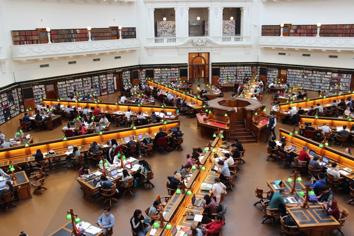 Étudiants travaillant en bibliothèque universitaire